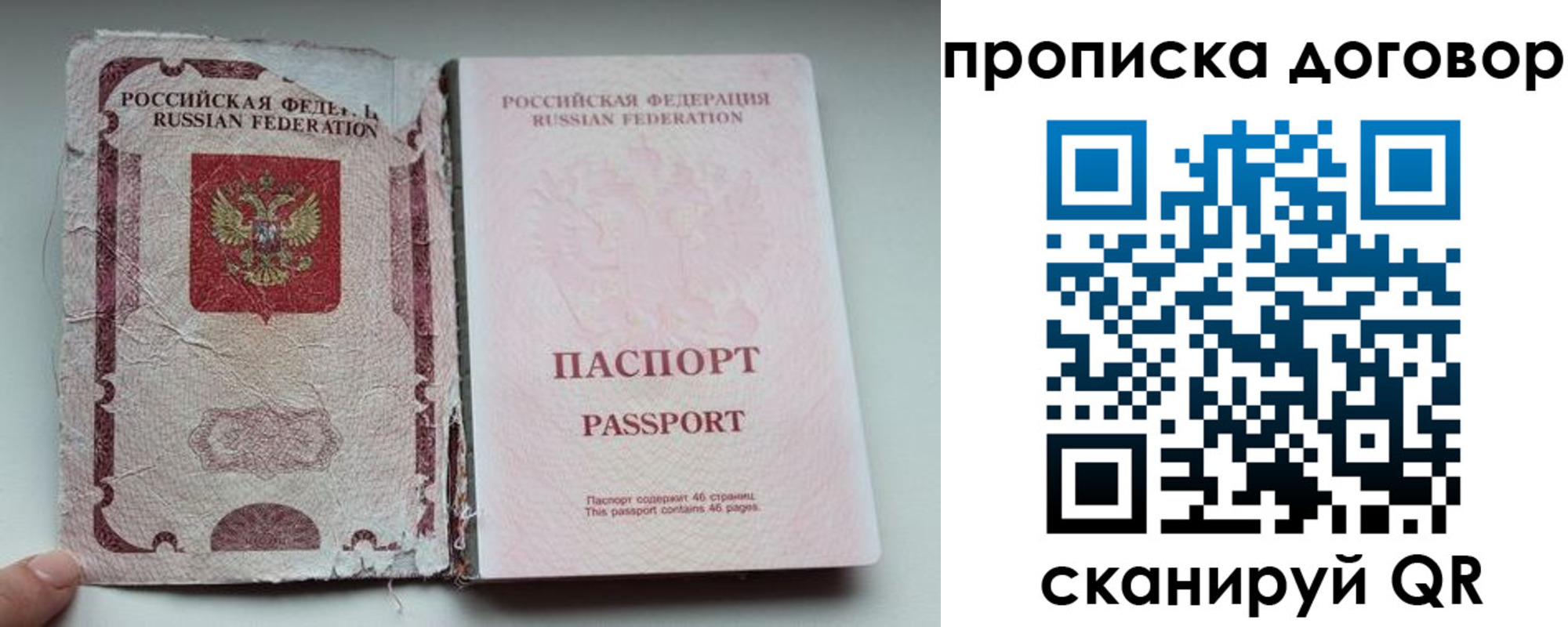 прописка поиск в Ясном